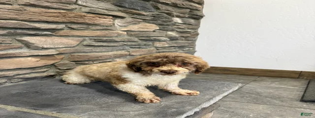 BENNY