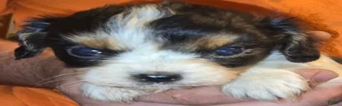 Evan