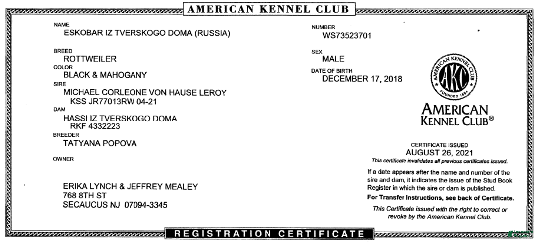 Rottweiler dogs for sale: Bonnie - Ad 13