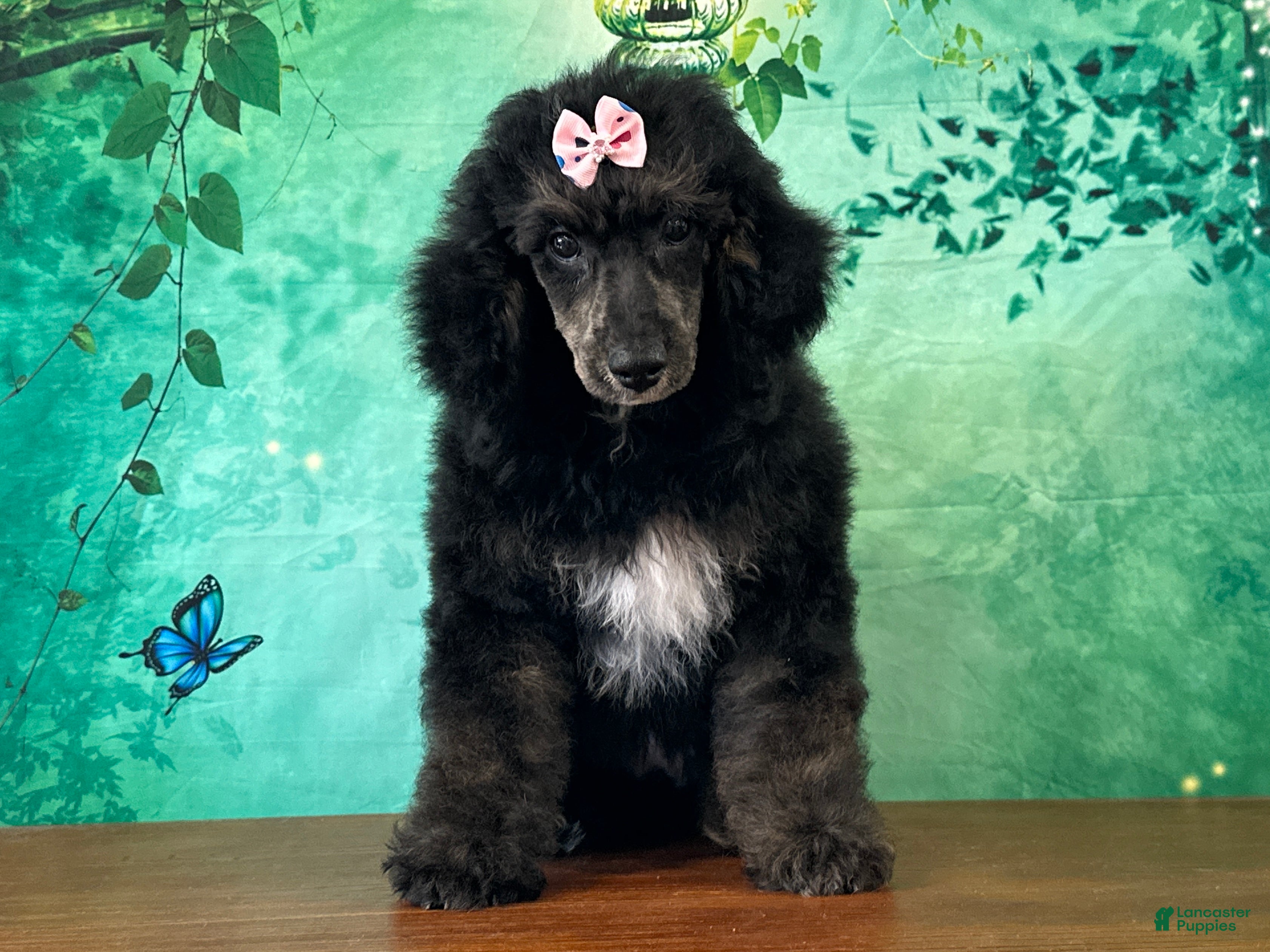 Minnie