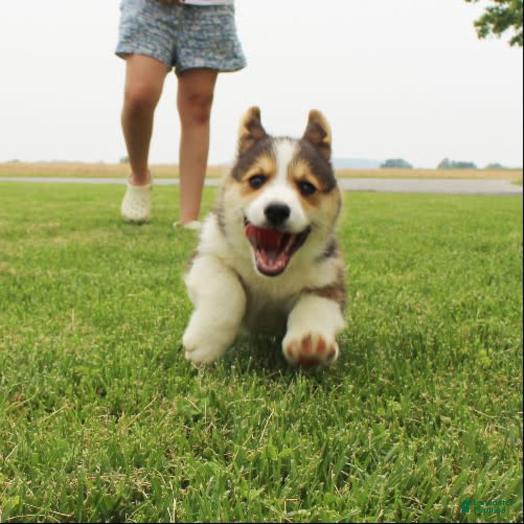 Gallery Image {{count}}