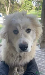 Charlie