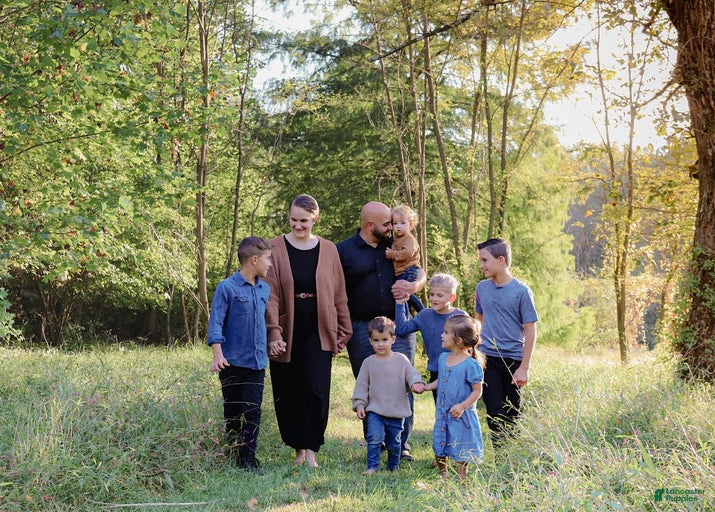 Gallery Image {{count}}