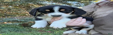 Female #5