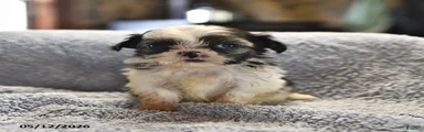 Kathlynn