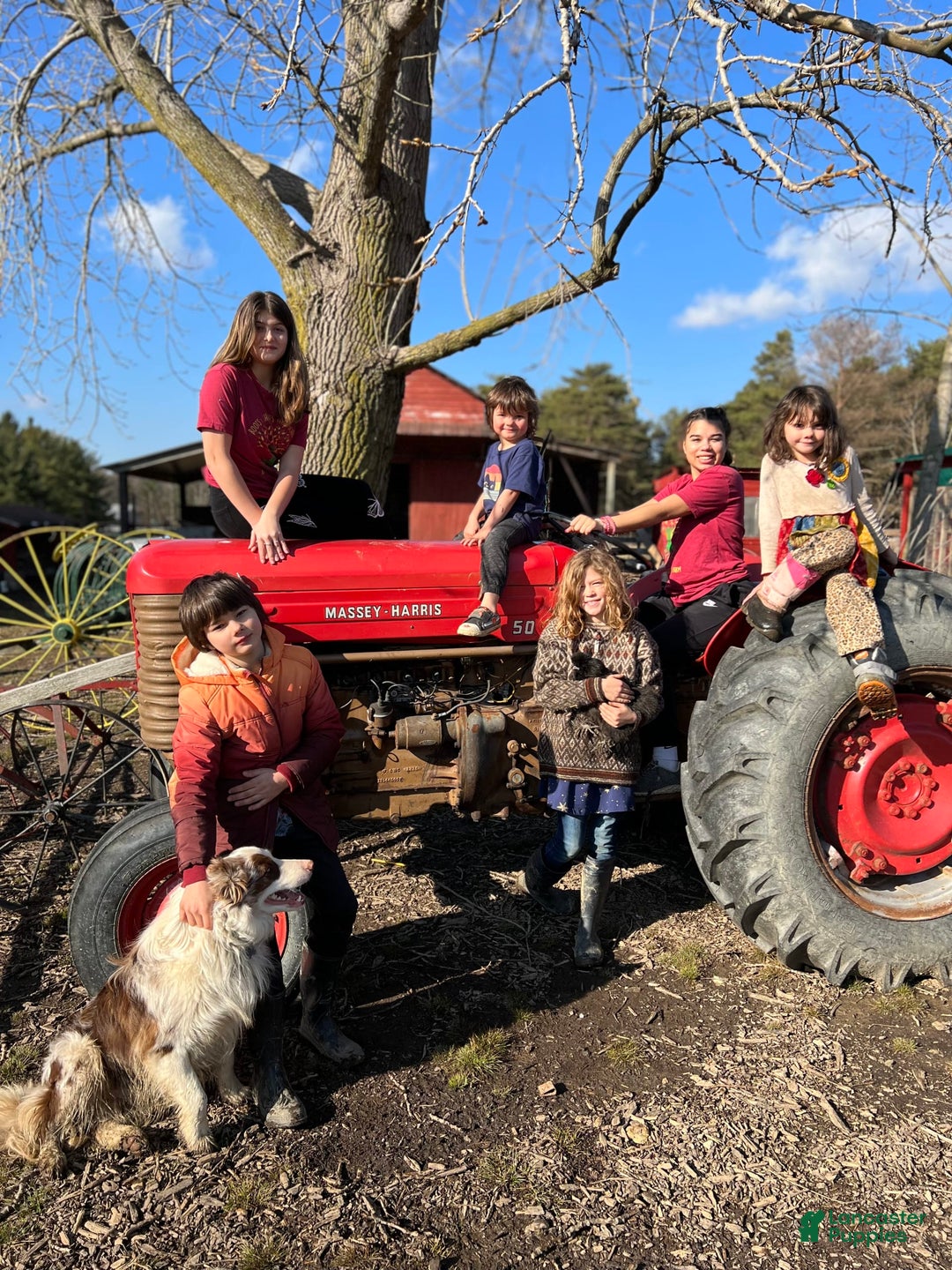 Gallery Image {{count}}