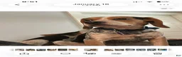 Beagle dogs for sale: Girl 3 - Ad 5
