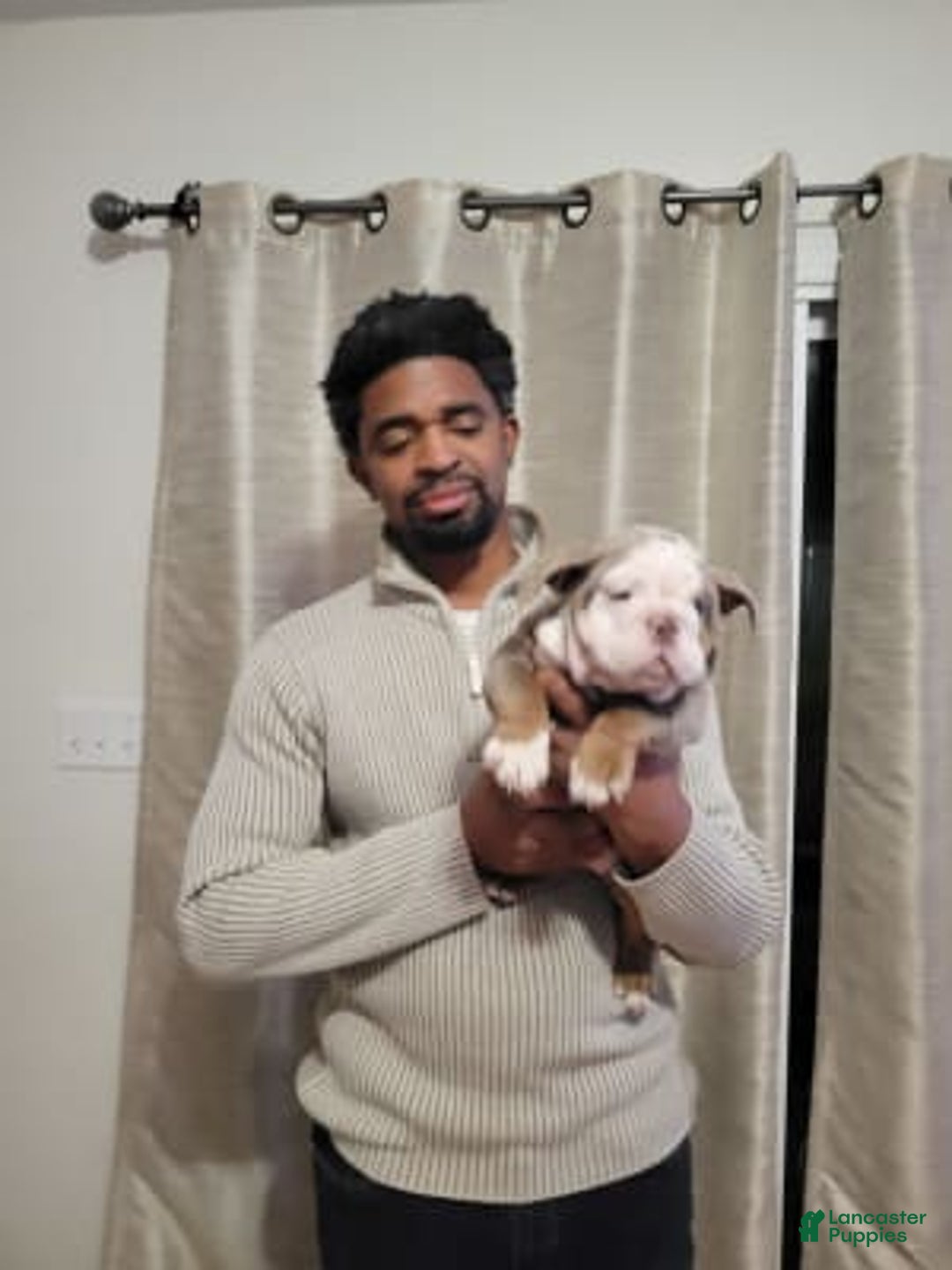 Gallery Image {{count}}