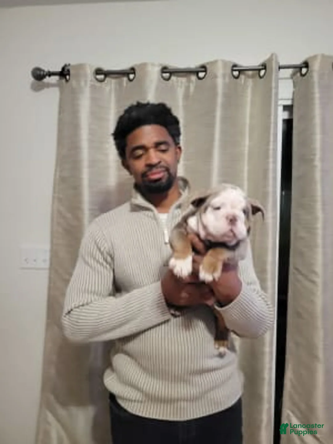 Gallery Image {{count}}