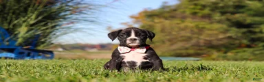 Winnie