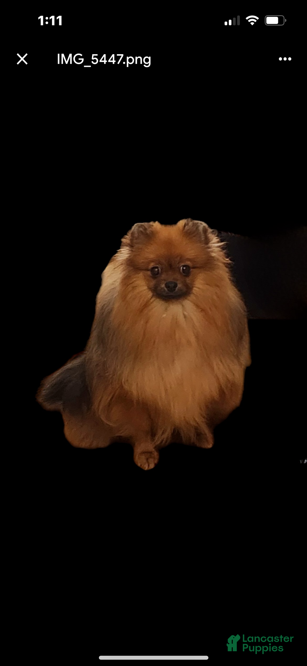 Gallery Image {{count}}