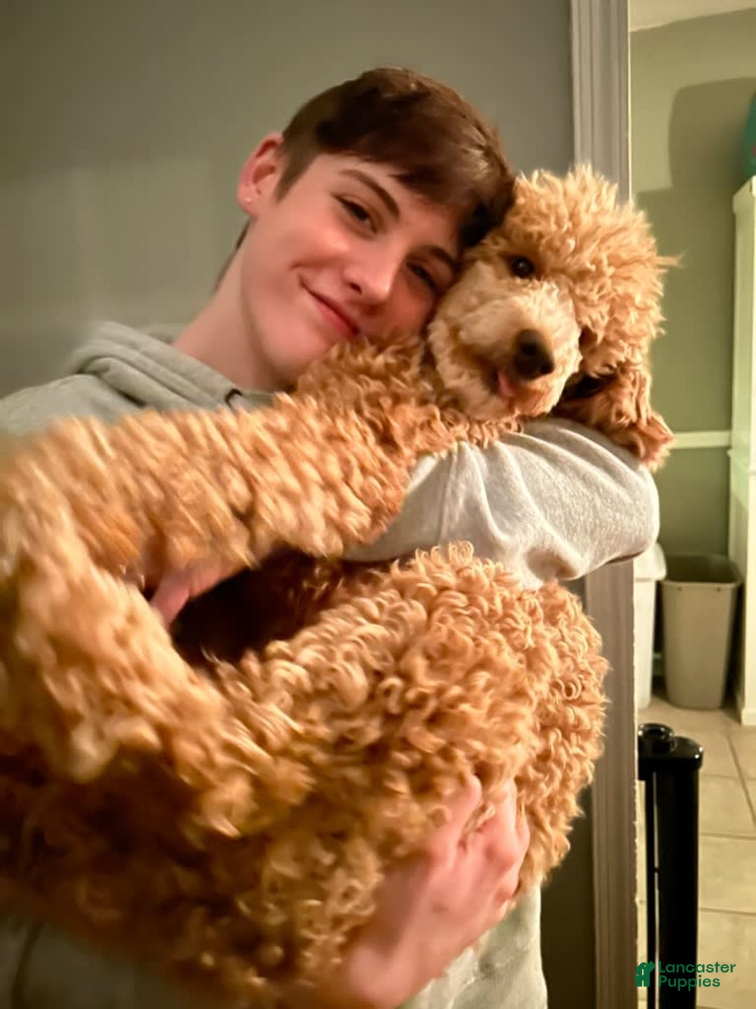 Gallery Image {{count}}