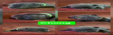 Chong