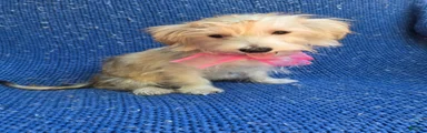 Gabby 