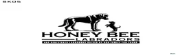Labrador Retriever dogs for sale: Labrador Retriever 7 - Ad 1