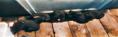 BULLADOR 