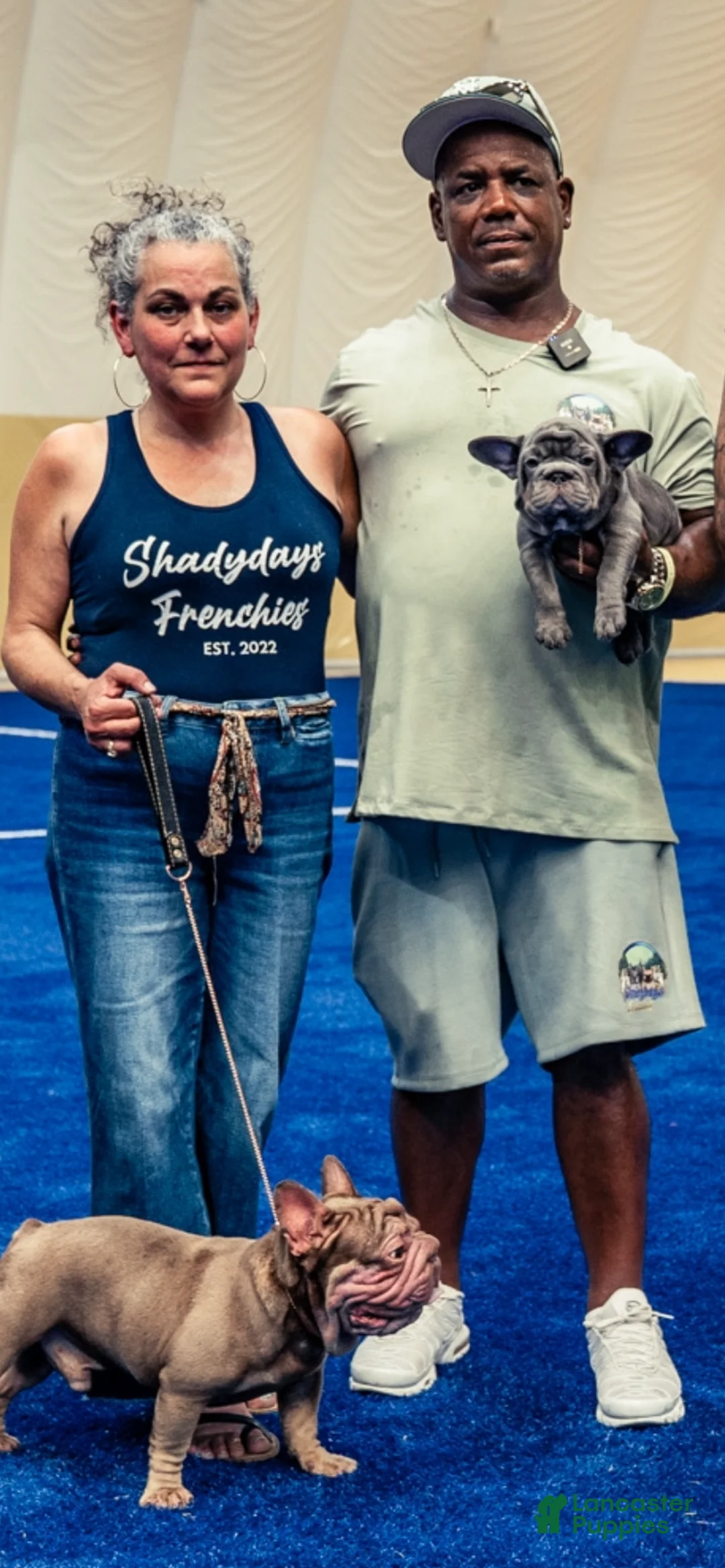 Gallery Image {{count}}