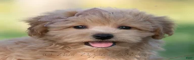 tucker