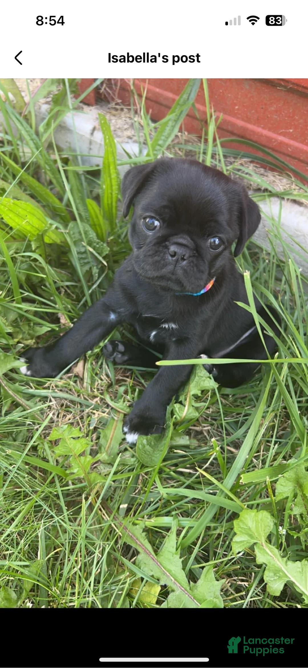 Gallery Image {{count}}