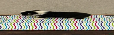 Jax