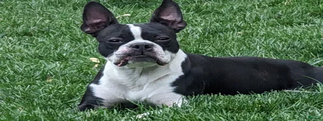 JR
