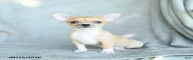 Roscoe