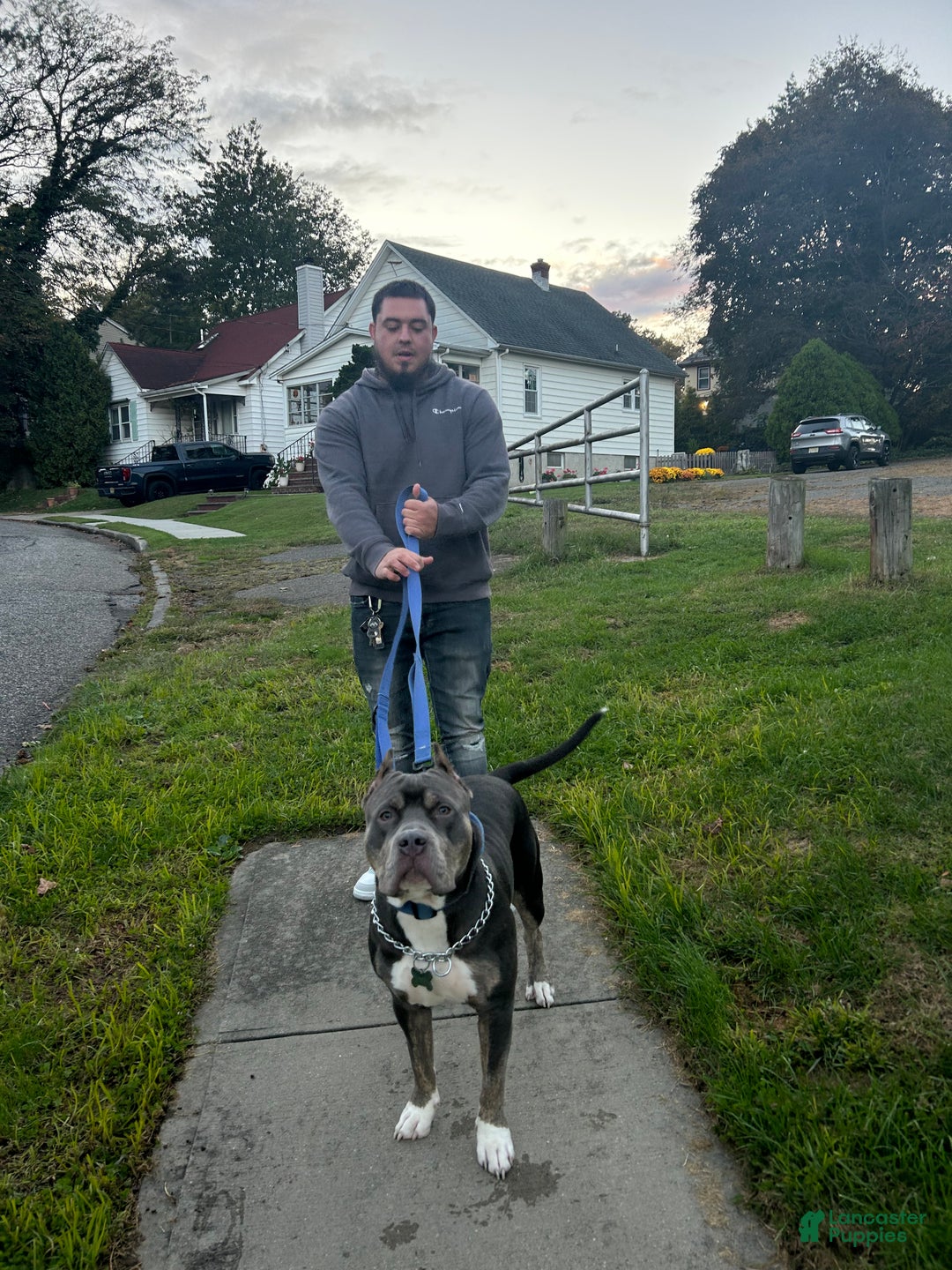 Gallery Image {{count}}