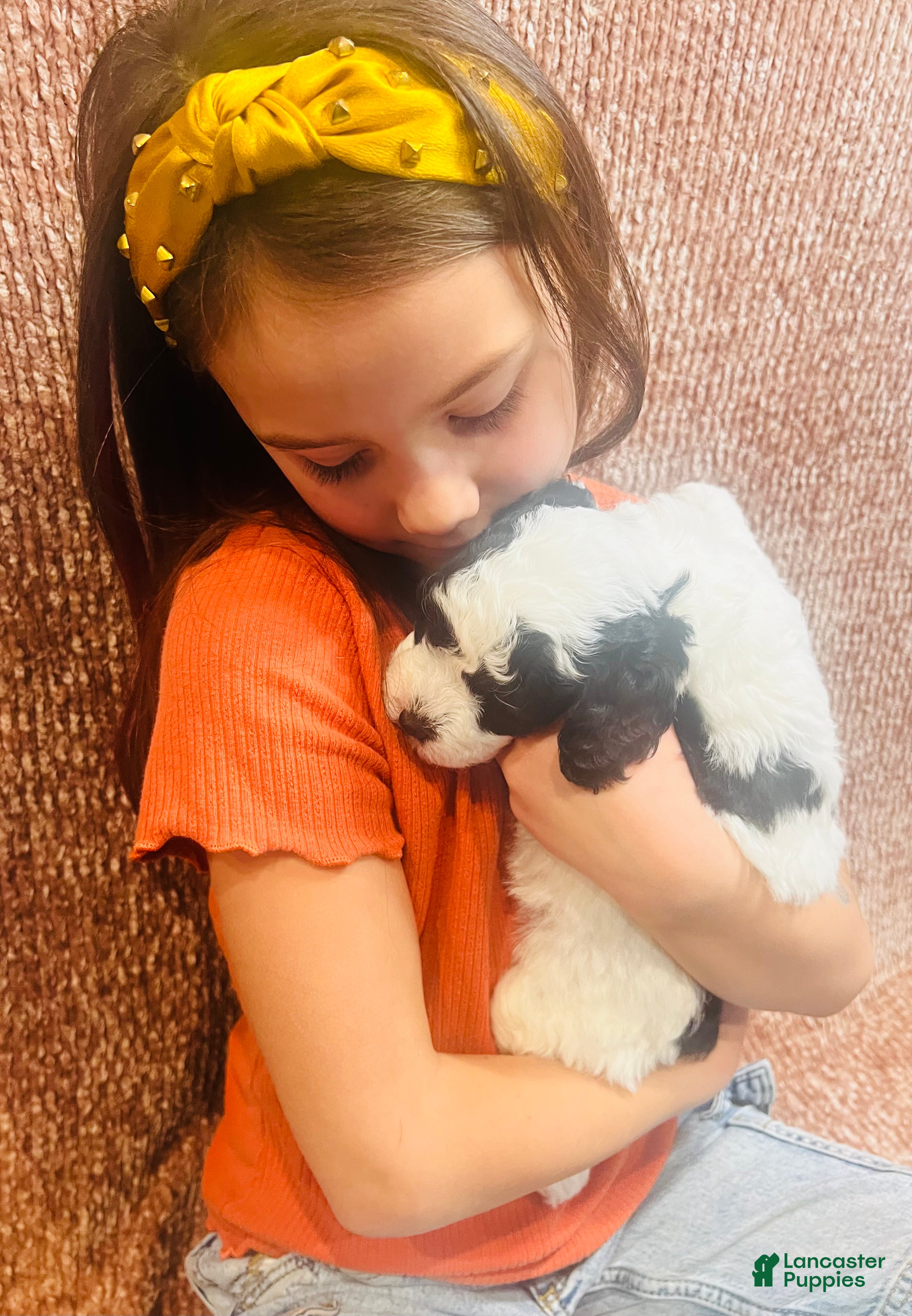Mini Sheepadoodle dogs Mini Sheepadoodle Puppy Pick Spot #6 - Ad 2
