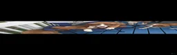Mixed Breed dogs for sale: Marley - Ad 76