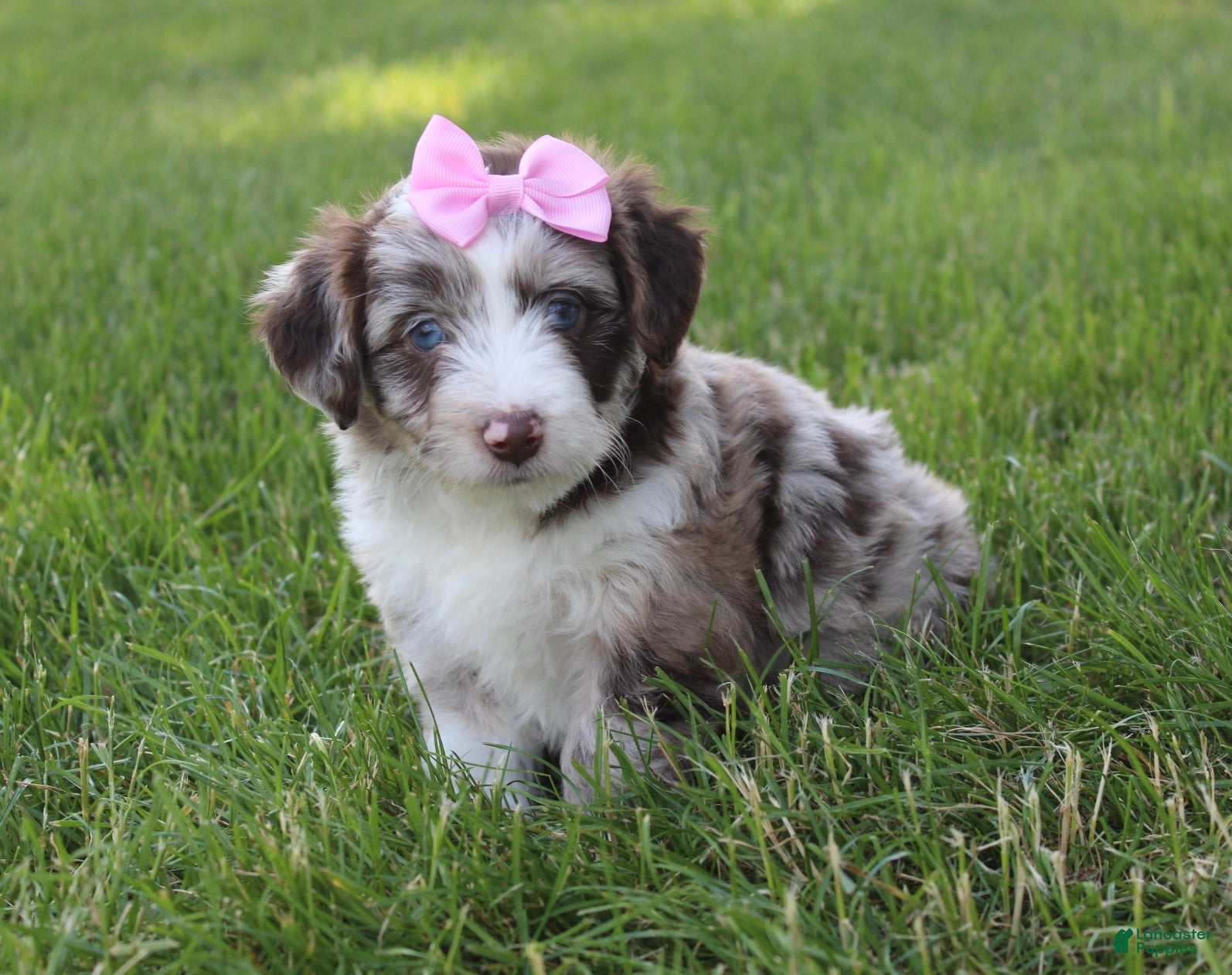 June 🎀