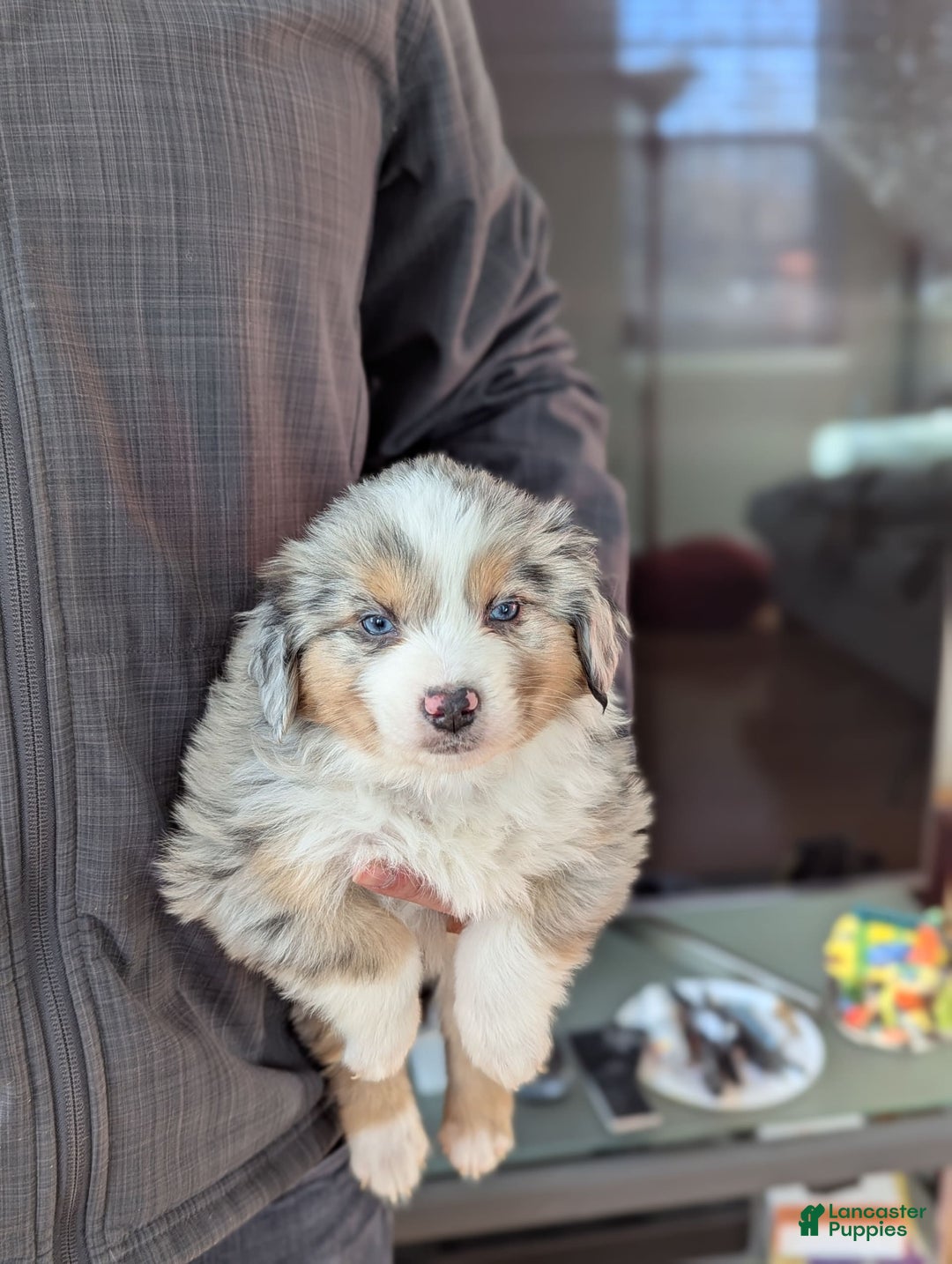 Gallery Image {{count}}