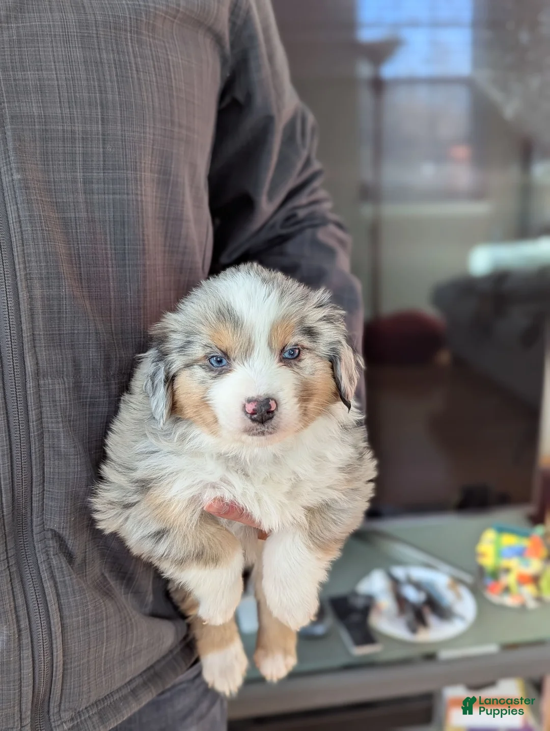 Gallery Image {{count}}