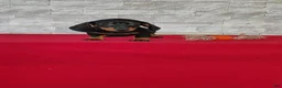 Miniature Dachshund dogs for sale: Tootsie - Ad 1