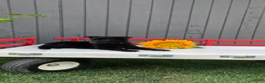 KitKat