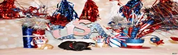 Chihuahua dogs for sale: Gilley - Ad 2
