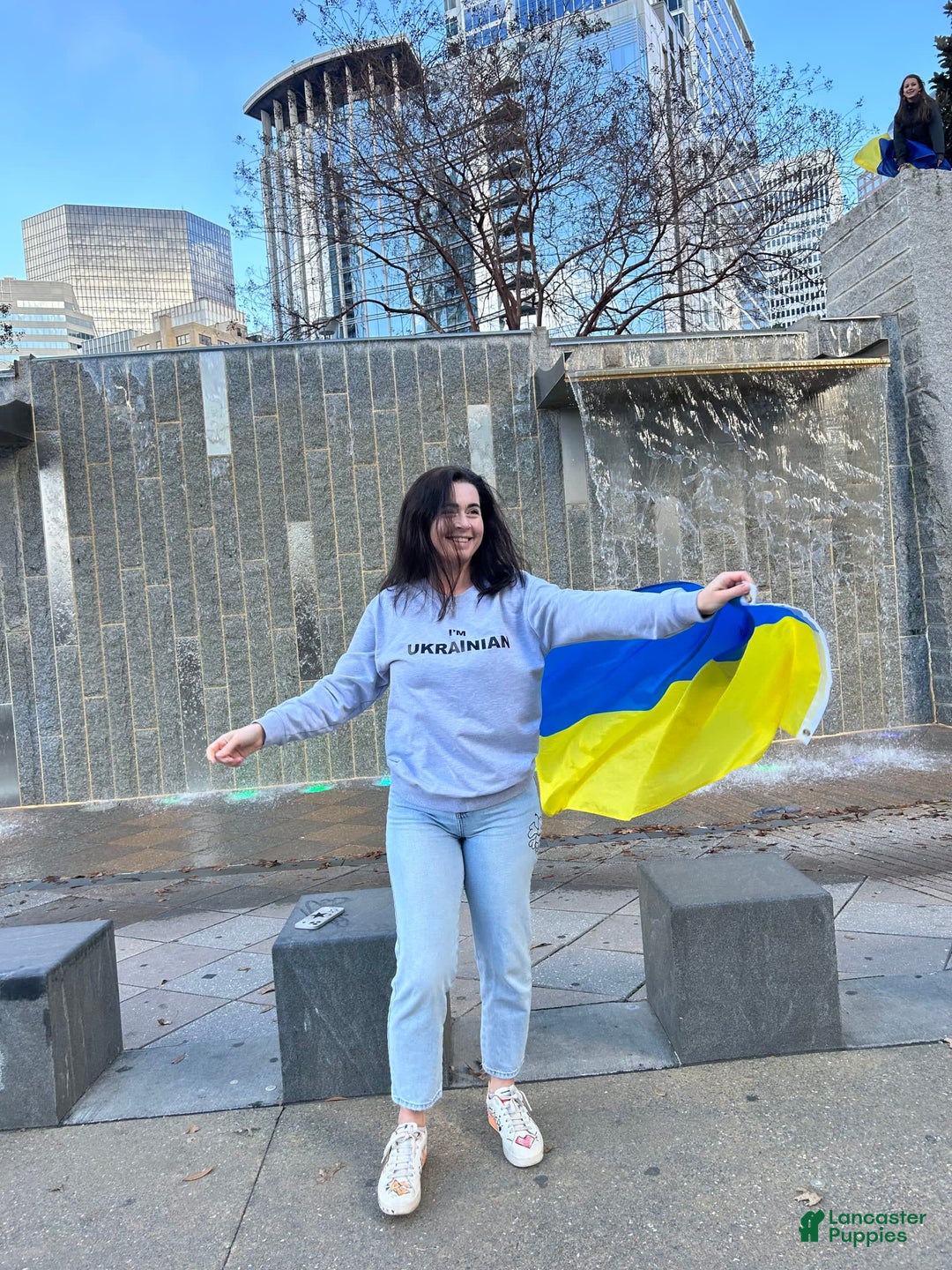 Gallery Image {{count}}