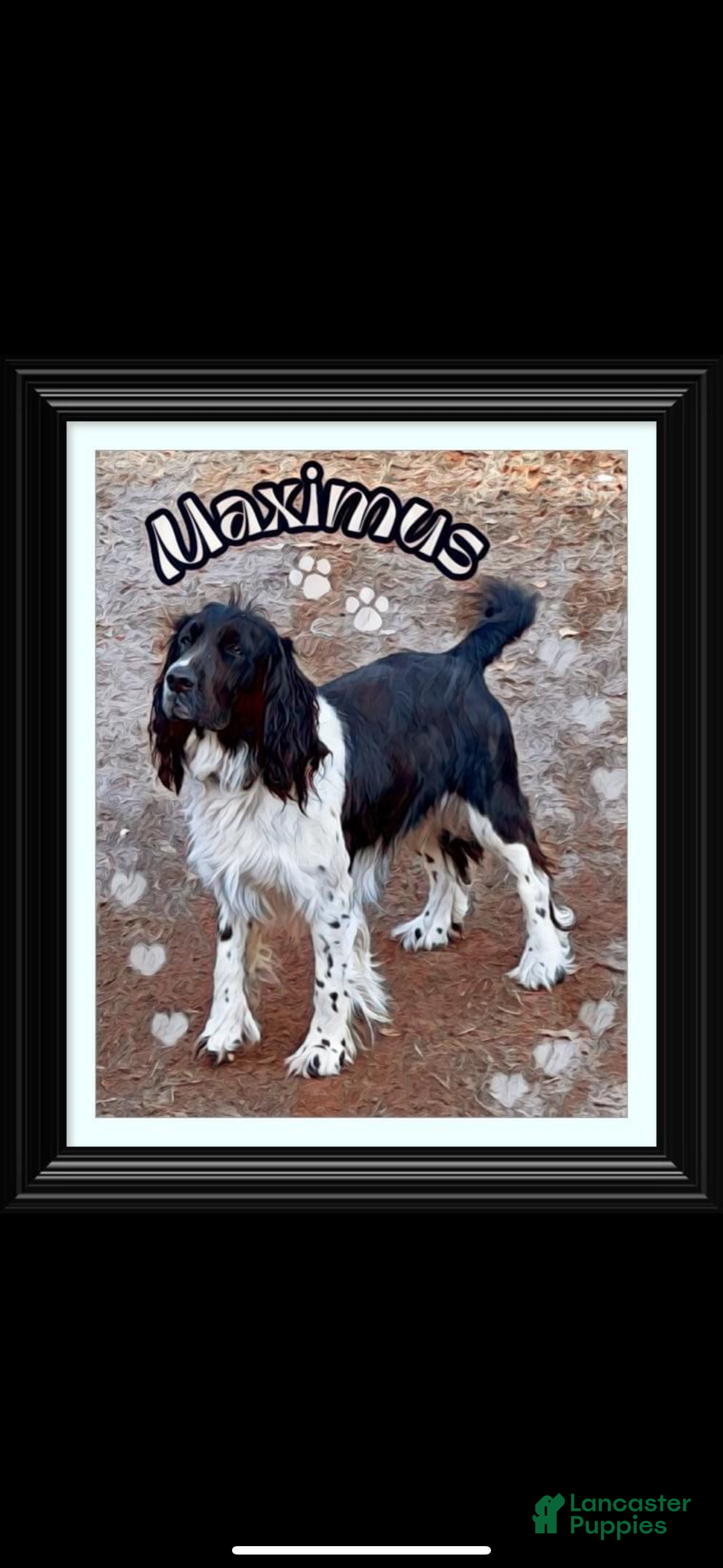 Max