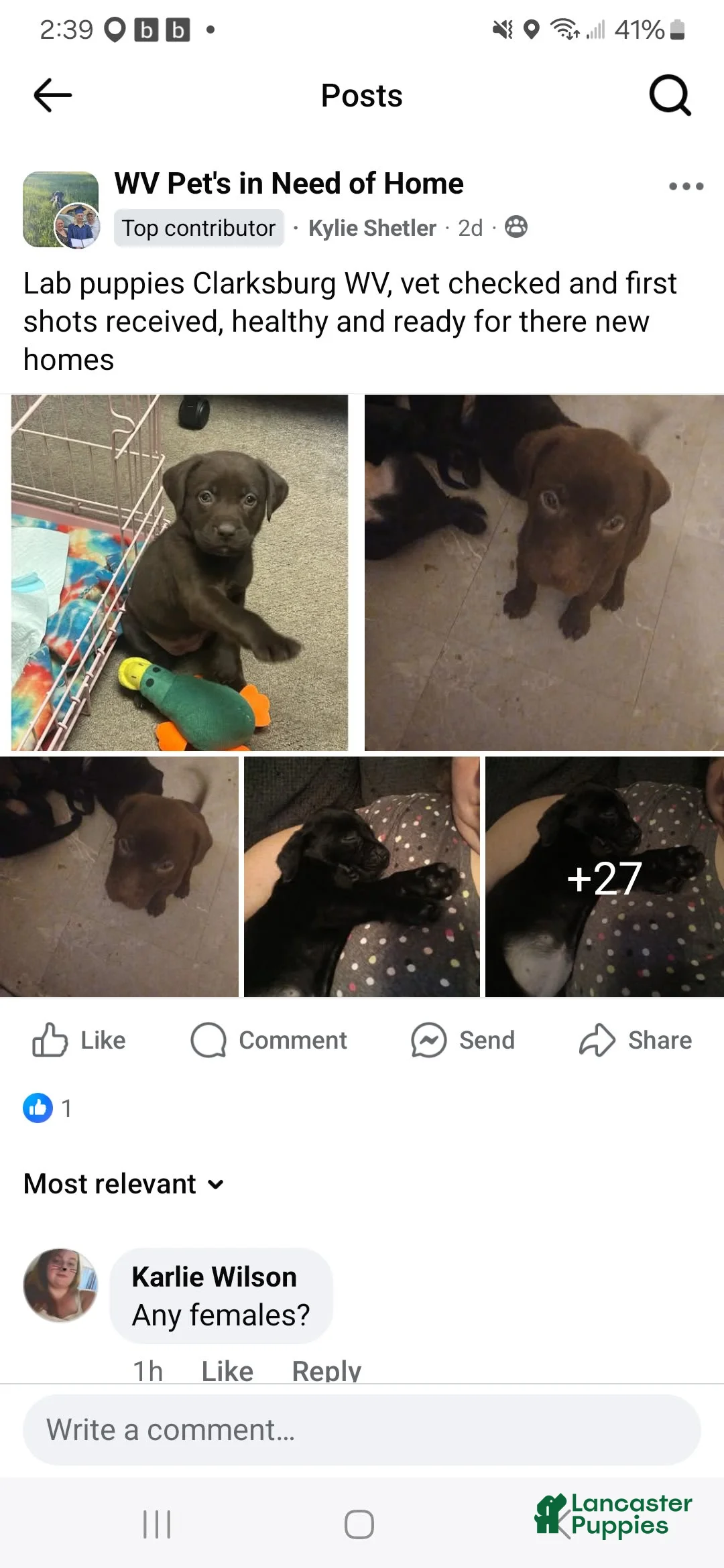 Gallery Image {{count}}