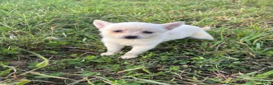 Lilah