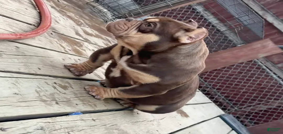 Gallery Image {{count}}