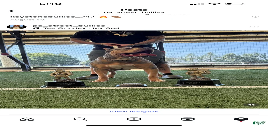 Gallery Image {{count}}