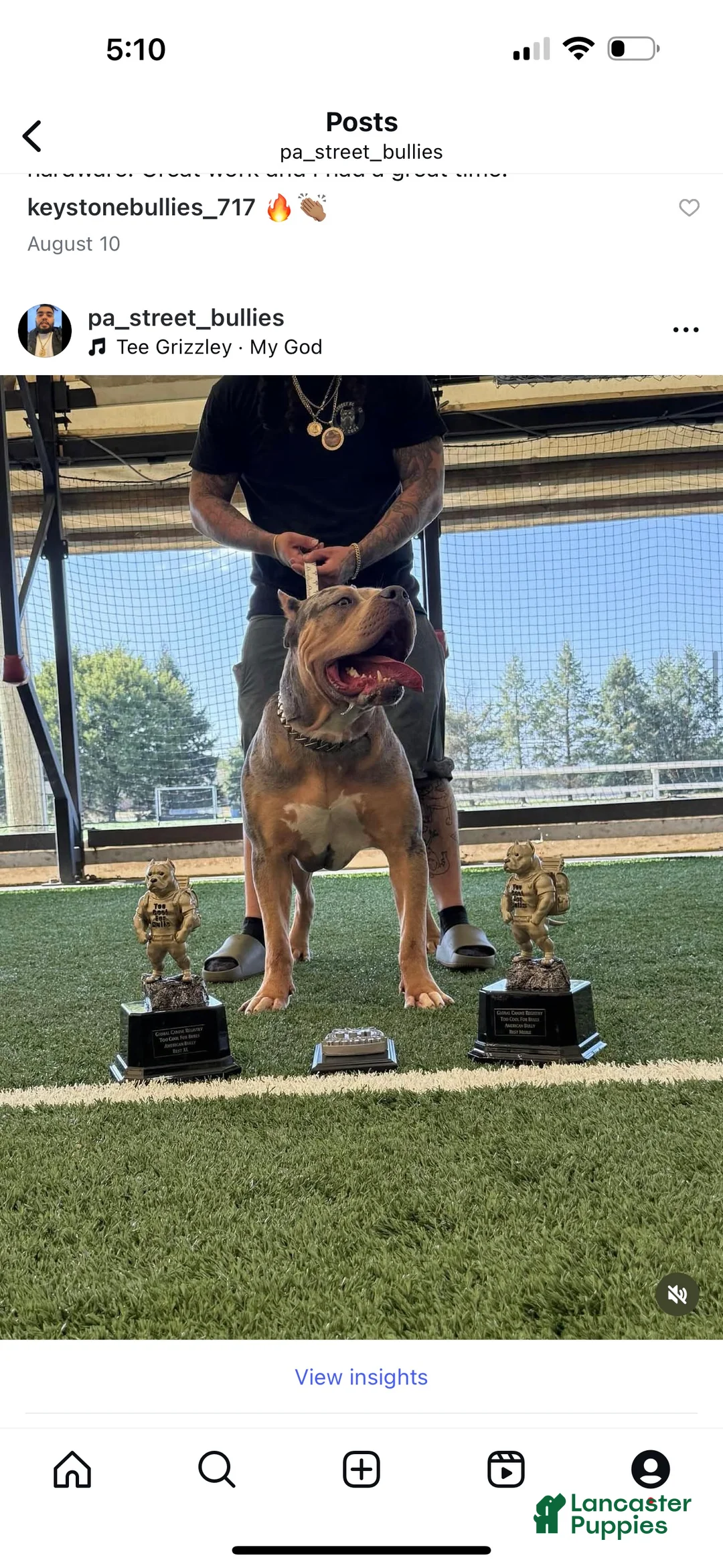 Gallery Image {{count}}