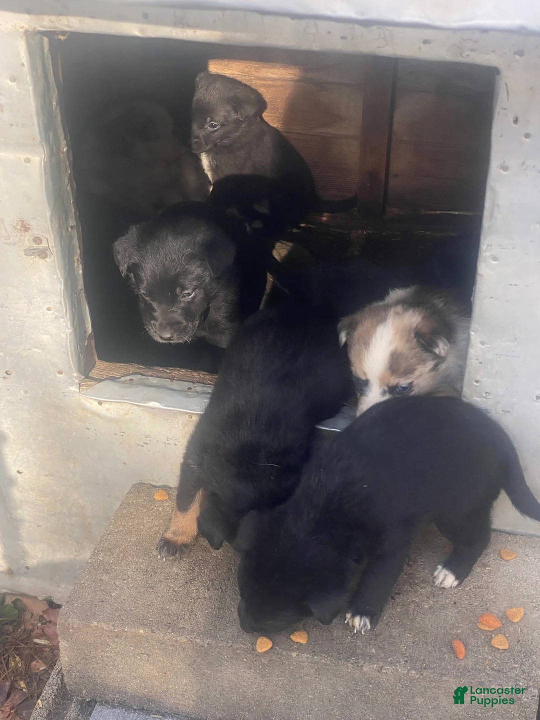 Gallery Image {{count}}