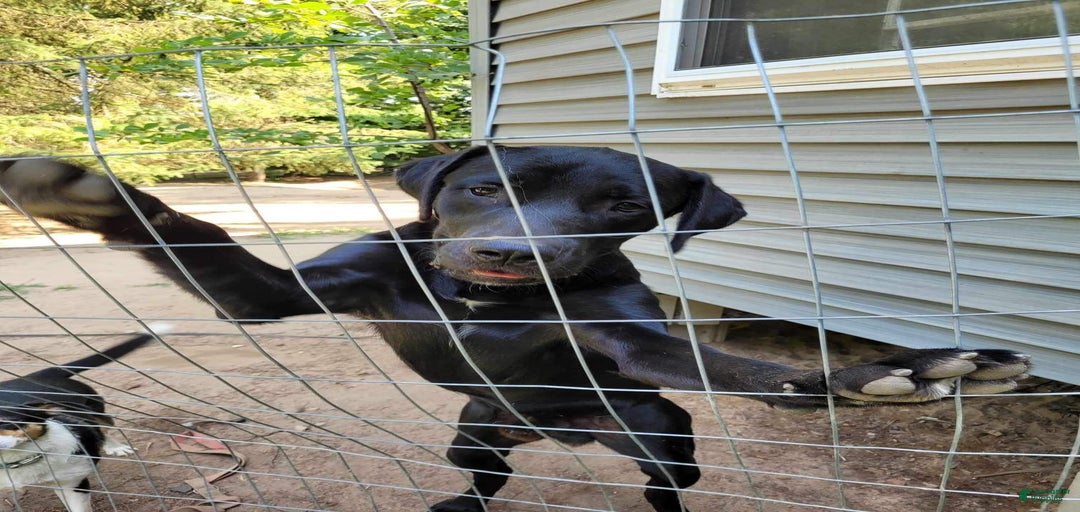 Gallery Image {{count}}