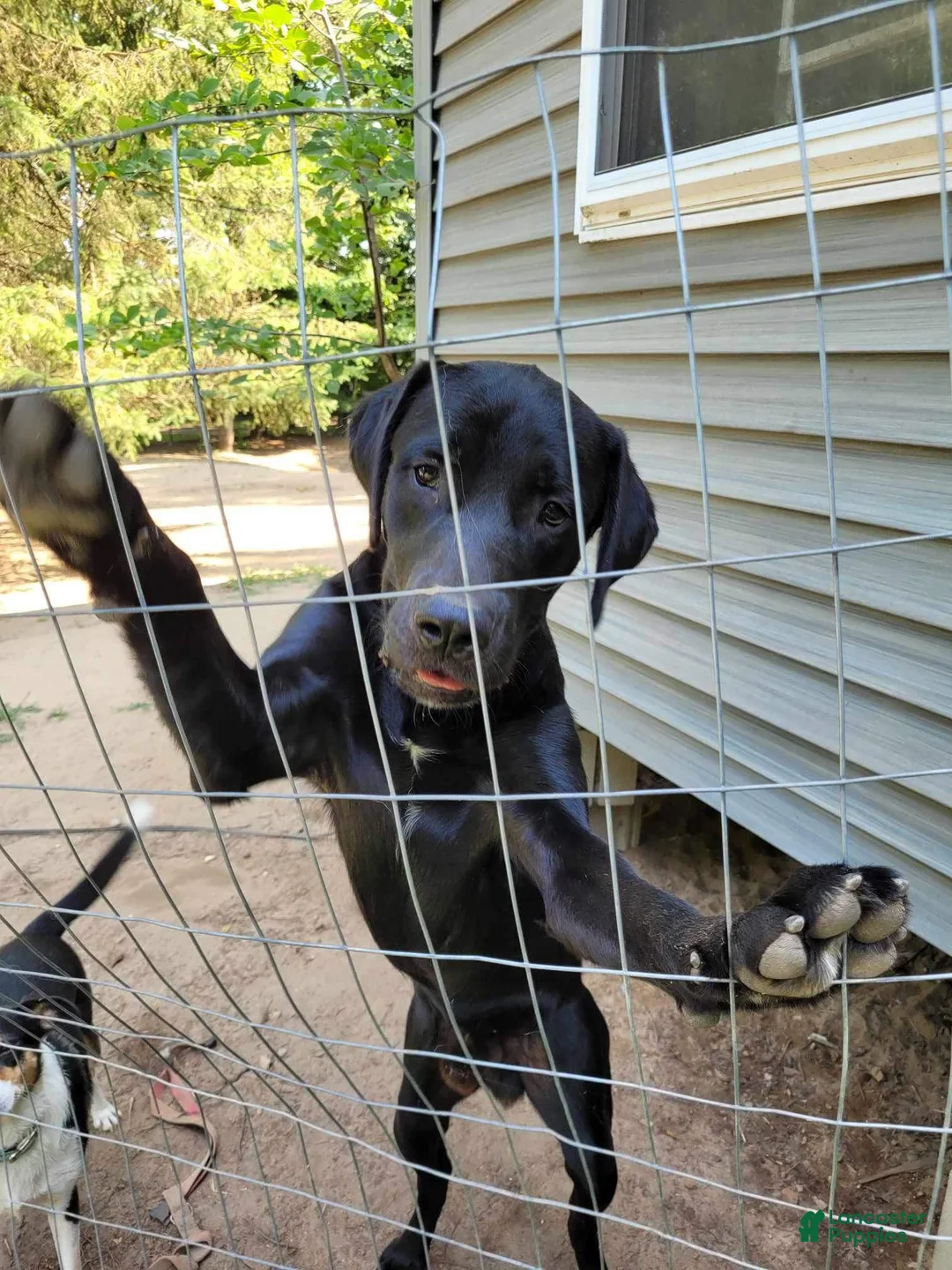 Gallery Image {{count}}