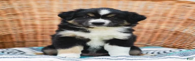 Winnie