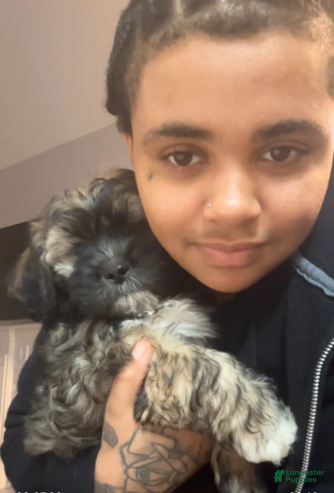 Gallery Image {{count}}