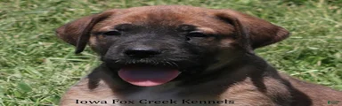 Bonnie