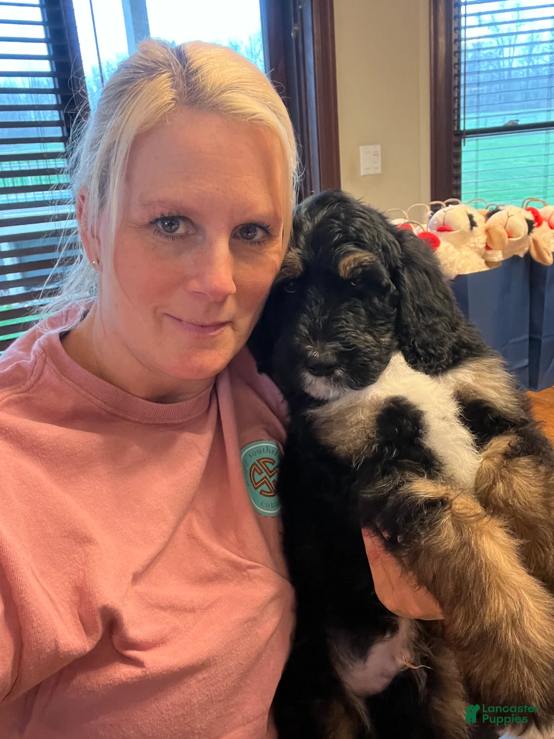 Gallery Image {{count}}