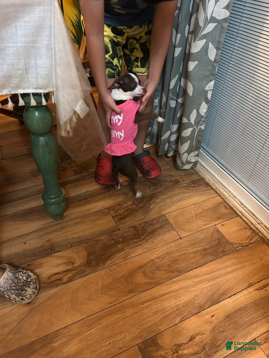 Gallery Image {{count}}